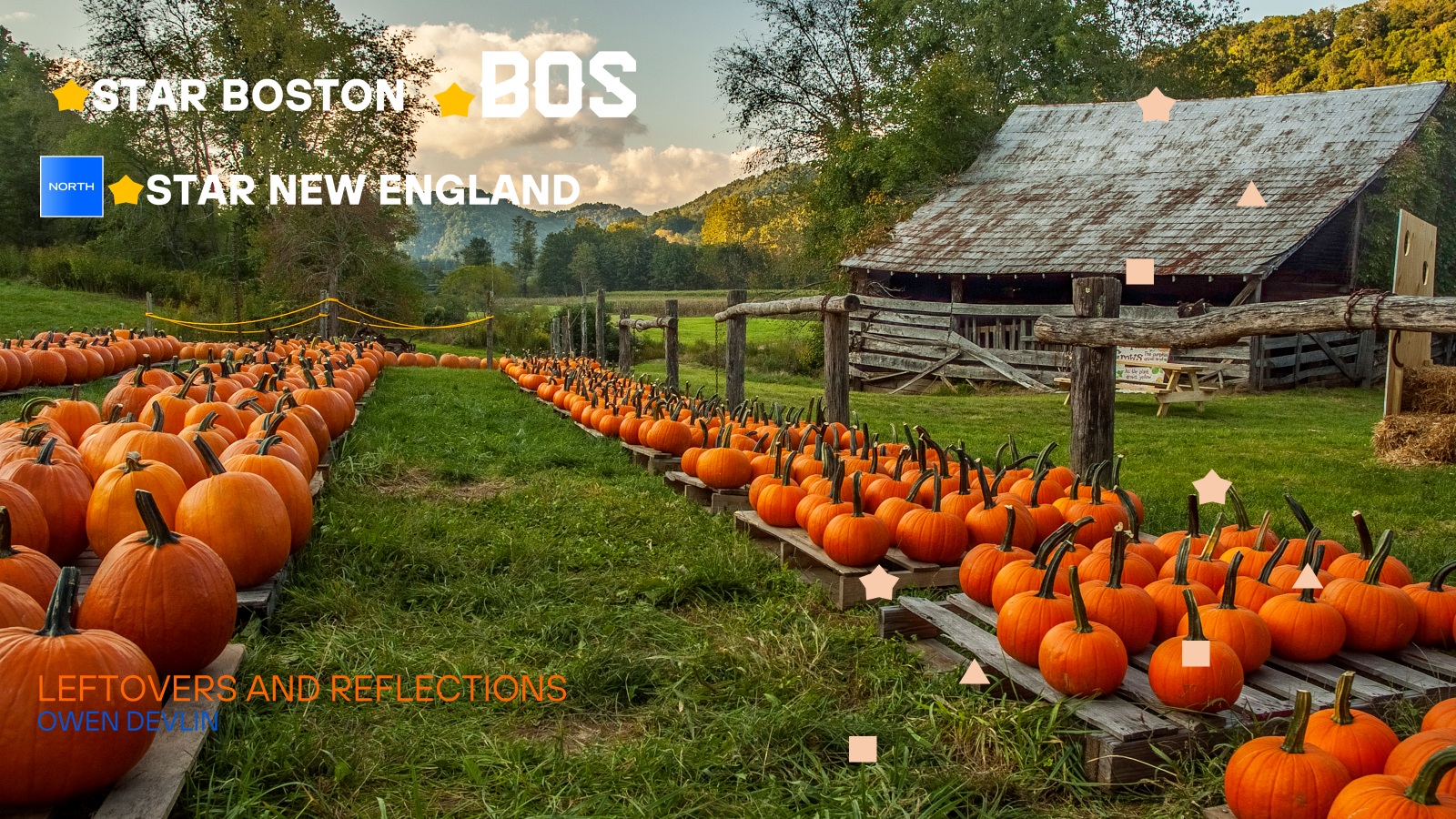 Image for Leftovers and Reflections 